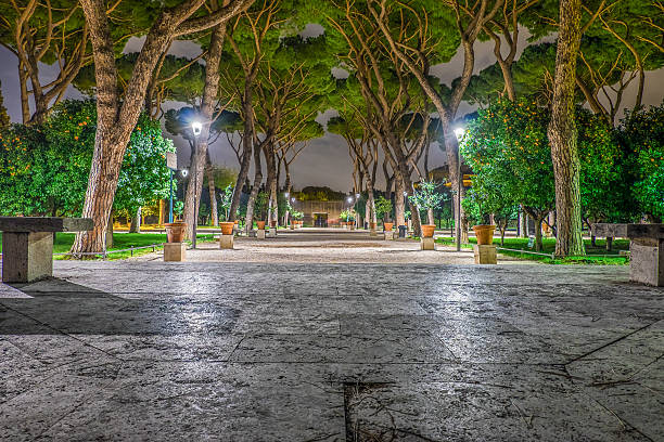 istock Orange Garden in the Night 514630336