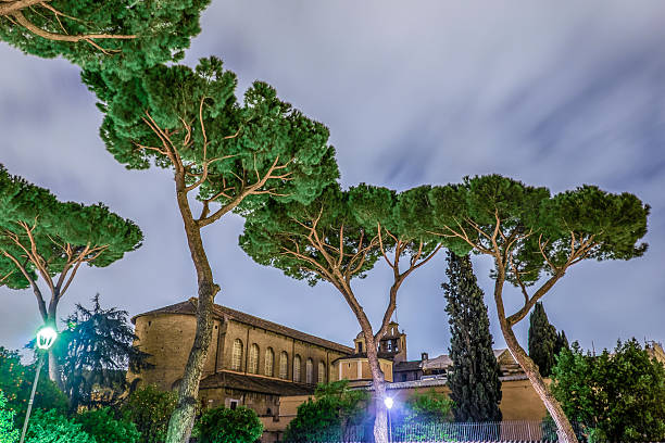 istock Orange Garden in the Night 514630804
