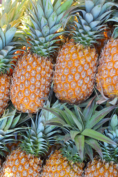 istock Fresh pineapple fruit on the market. 514631125