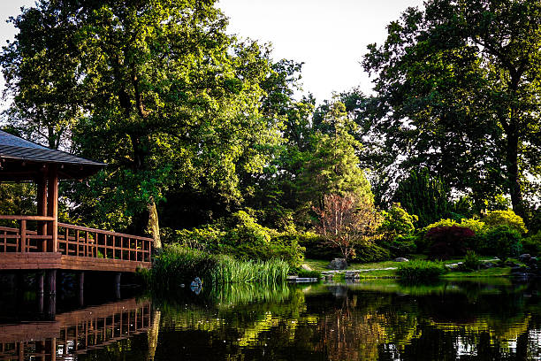 istock Sunny day in the park. 514632267