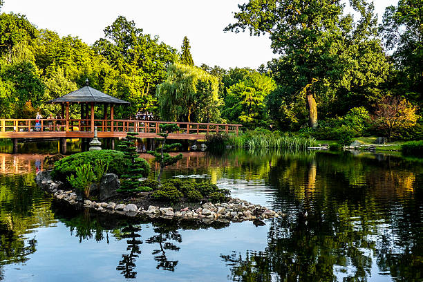 istock Sunny day in the park. 514632289