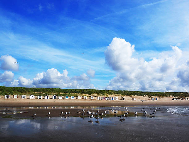 Beach with seagulls and beach huts, Texel, Netherlands