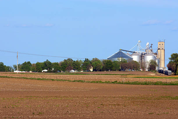 Grain Elevator Grain storage silos in McLean County of Illinois mclean county stock pictures, royalty-free photos & images