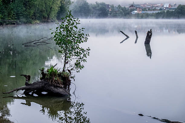 istock Misty morning on a small river in russia. 514633315