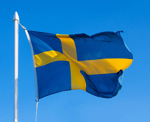 istock Flag of Sweden 514634679