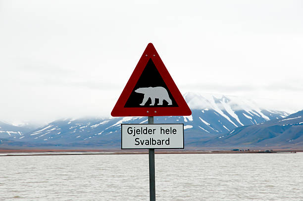istock Polar Bear Warning Sign - Longyearbyen - Svalbard 514635038