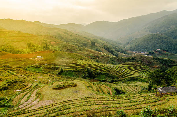 istock Rice terraces on the mountain 514635395