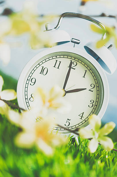 istock Clock in grass conceptualizing start of spring and DST 514637322