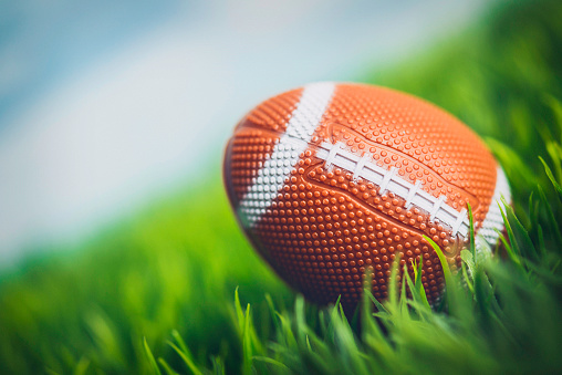 American football shaped Easter egg hidden in grass