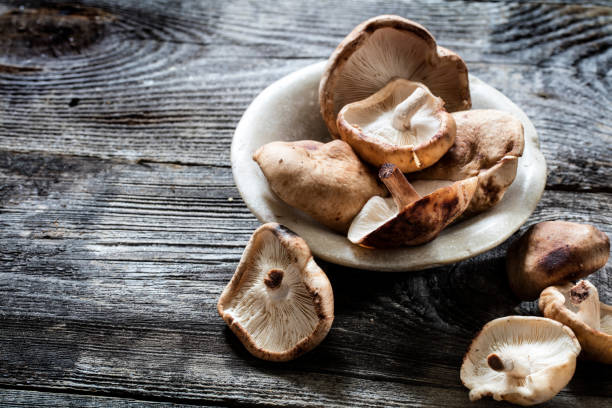 Cogumelos Cogumelos shitake situado em uma verdadeira antigo espaço para texto - foto de acervo