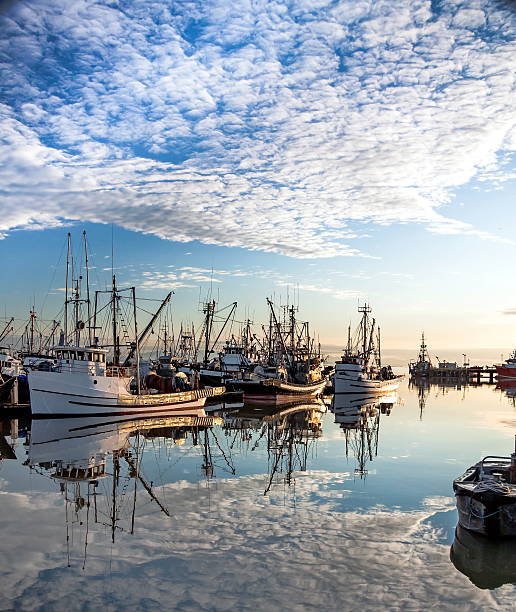 istock Fishing Boats in the Marina. 514649604