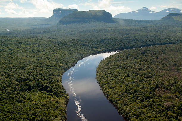 orinocco blick auf den fluss - orinoco river stock-fotos und bilder