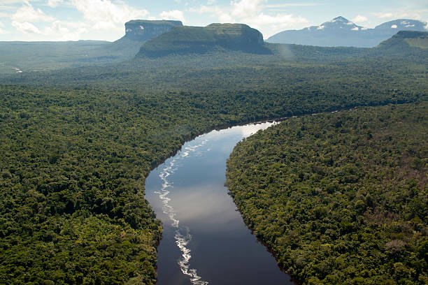 orinocco 川の眺め - forest canal tropical rainforest river ストックフォトと画像