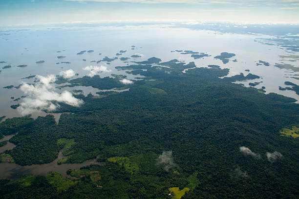 orinocco vue sur la rivière - orinoco river photos et images de collection