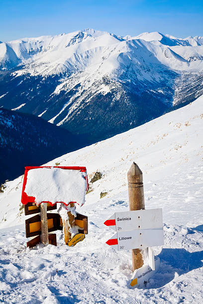 istock Avalanche danger in the Tatra Mountains 514652319