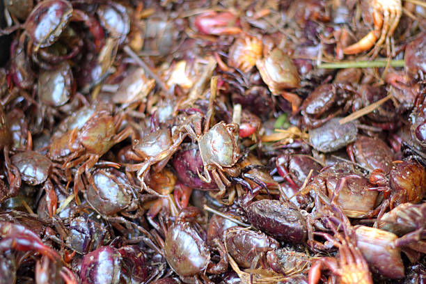 istock lot crab in the market 514653217
