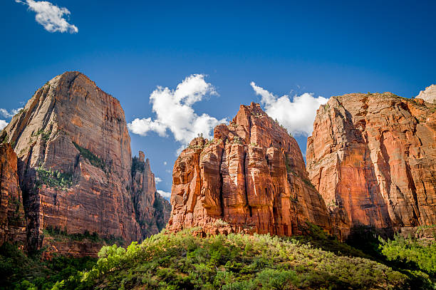 zion national park landscape breathtaking view of three patriarchs in zion canyon national park zion river stock pictures, royalty-free photos & images