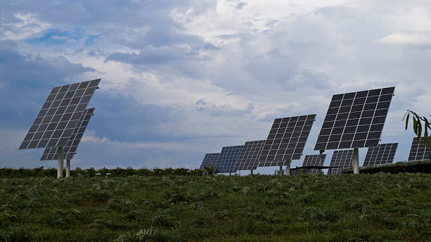 istock Agriculture and solar energy. 514655409