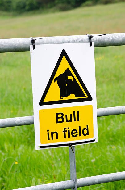 istock Bull in field sign on gate 514655575