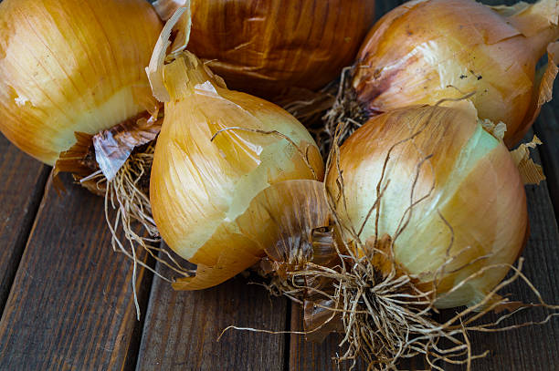 istock lot of ripe onion 514657525