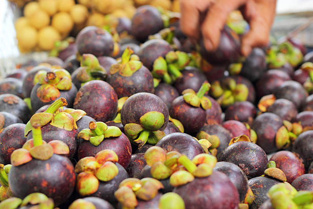 istock Fresh mangosteen in the Market 514658079