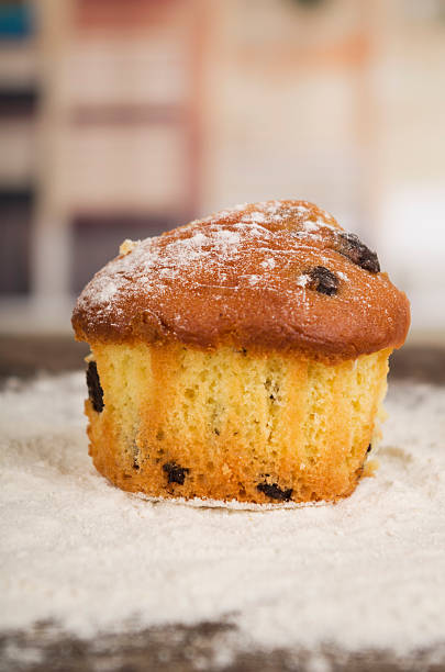 delicious homemade muffin cake dessert cupcake pastry
