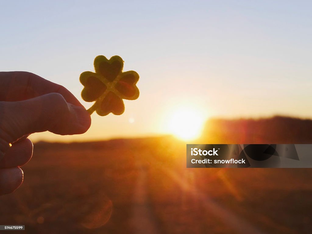 Lucky future I wish you luck! Green clover leaf with green hearts against path in the sunset symbolizes luck for the future Celebration Stock Photo