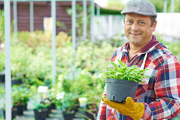 istock Male with plant 514685431