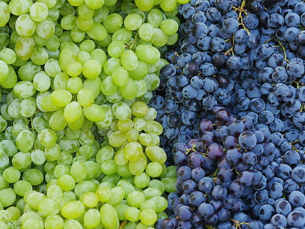 istock market red wine grapes 514686291