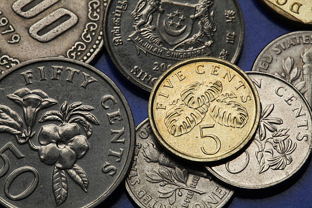 istock Coins of Singapore 514686405