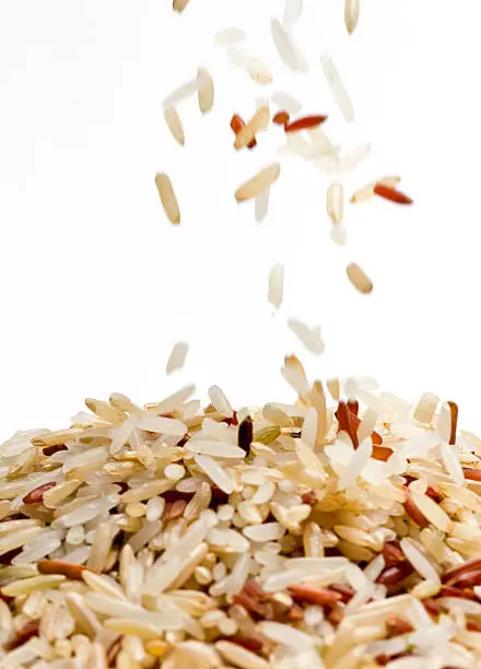 Rice seed on white background.