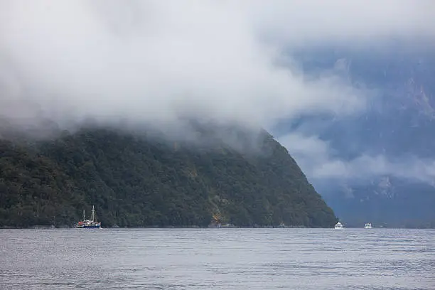 Rainny and foggy day at Milfordsound