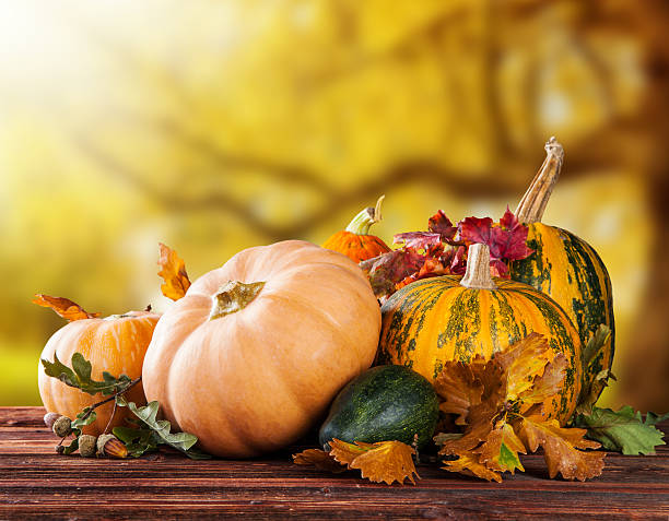 istock Autumn colored pumpkins on wooden table 514689185