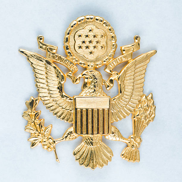 istock Golden National US Emblem 514689317