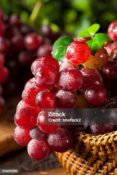 Organic Raw Red Grapes Stock Photo - Download Image Now - Berry, Berry Fruit, Branch - Plant Part