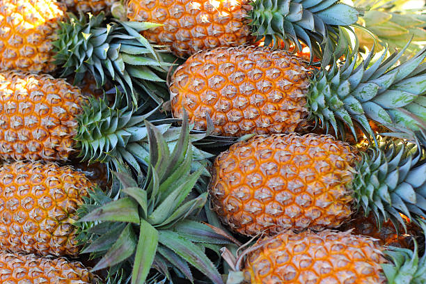 istock Fresh pineapple fruit on the market. 514691401