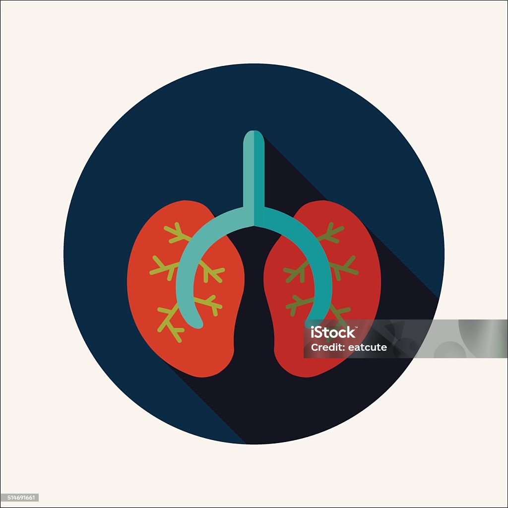 Pulmões ícone plana com sombra longa - Vetor de Anatomia royalty-free