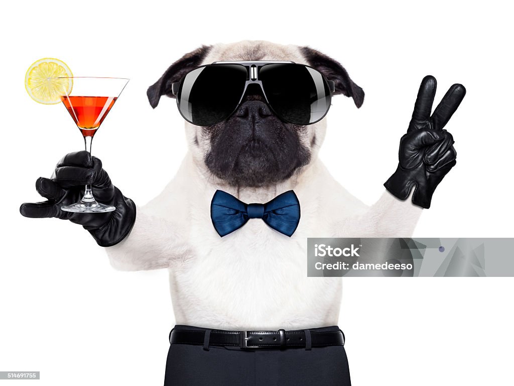 cocktail  dog cool pug dog with martini glass and peace or victory fingers Alcohol - Drink Stock Photo