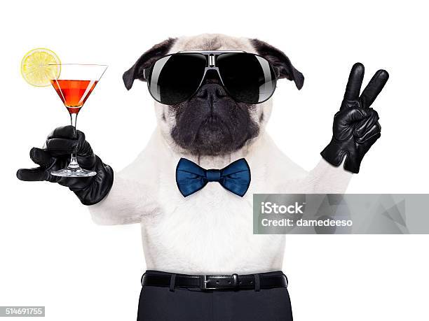 Cocktail Dog Stock Photo - Download Image Now - Alcohol - Drink, Animal, Anniversary