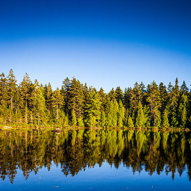 A glimpse at La Mauricie National Park.
