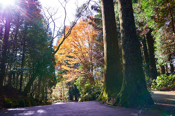 istock autumn in Japan 514712550
