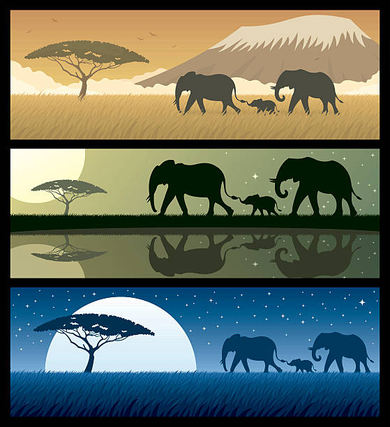 afrikanische landschaft 2 - elephant water vector animals in the wild stock-grafiken, -clipart, -cartoons und -symbole