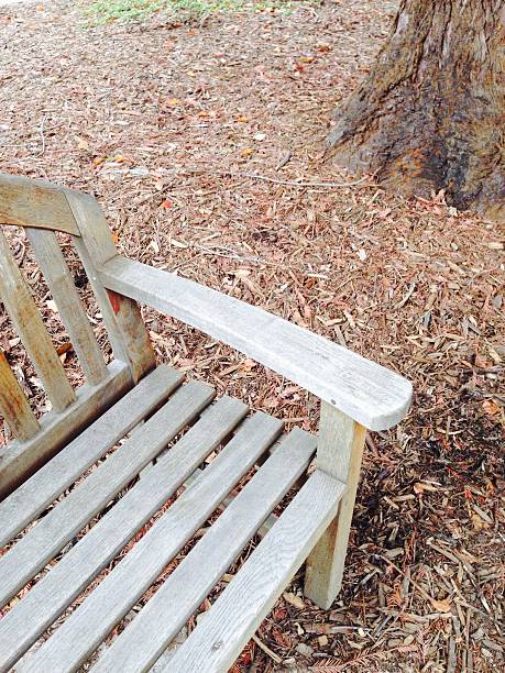 istock Outdoor Wooden Bench in the forest 514713112