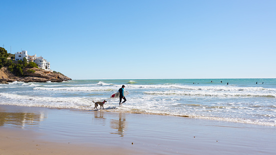 Sitges, Catalonia, Spain  - March 5, 2016: Surfer followed by dog entering the sea with surf board. Shot in a beach in Sitges, a small town near Barcelona.