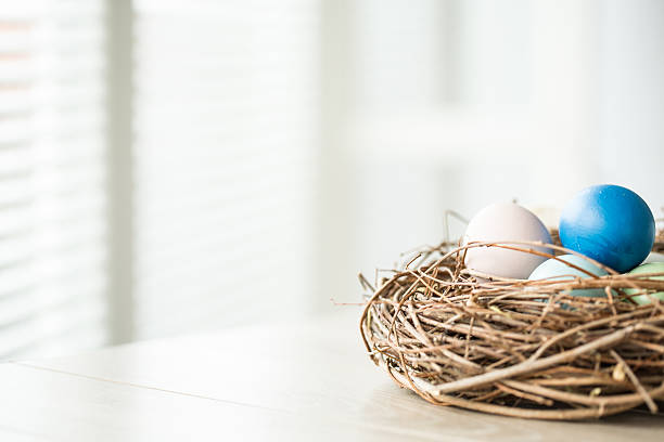 пасхальные яйца в гнездо с копией пространства - easter nest стоковые фото и изображения