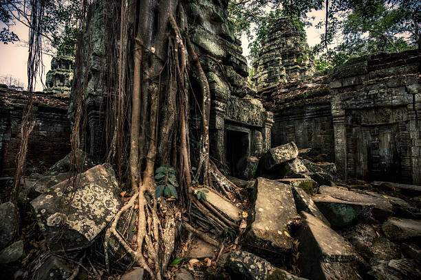 istock Ta Prohm Angkor ruins Cambodia 514716104