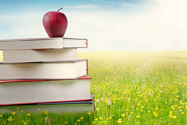 istock Red apple and a pile of books 514716824