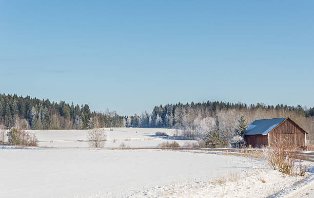 istock Snowy countryside in Finland 514716870