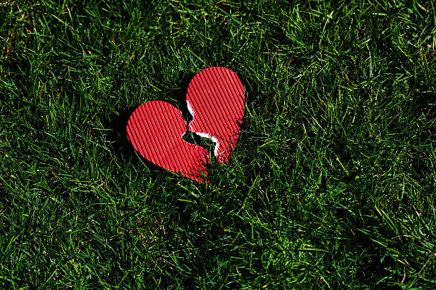 czerwony złamane serce na trawie - heart shape grass paper green zdjęcia i obrazy z banku zdjęć