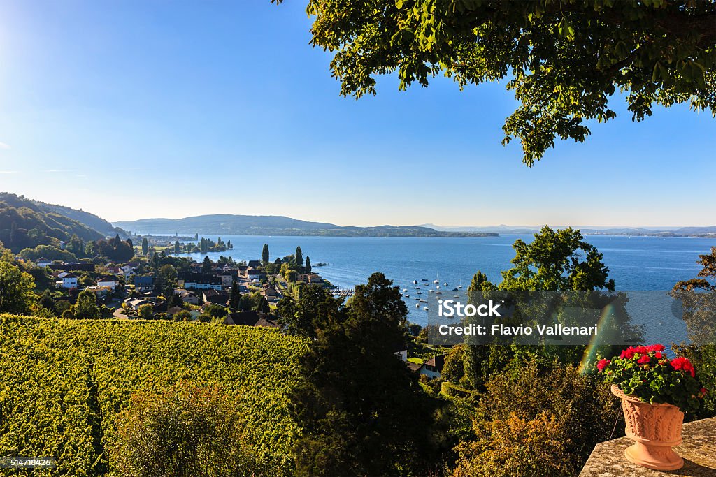 Lake Constance - Bodensee Lake Constance, Bodensee, is a lake situated on the border between Germany, Switzerland and Austria, at the northern foot of the Alps. Agricultural Field Stock Photo